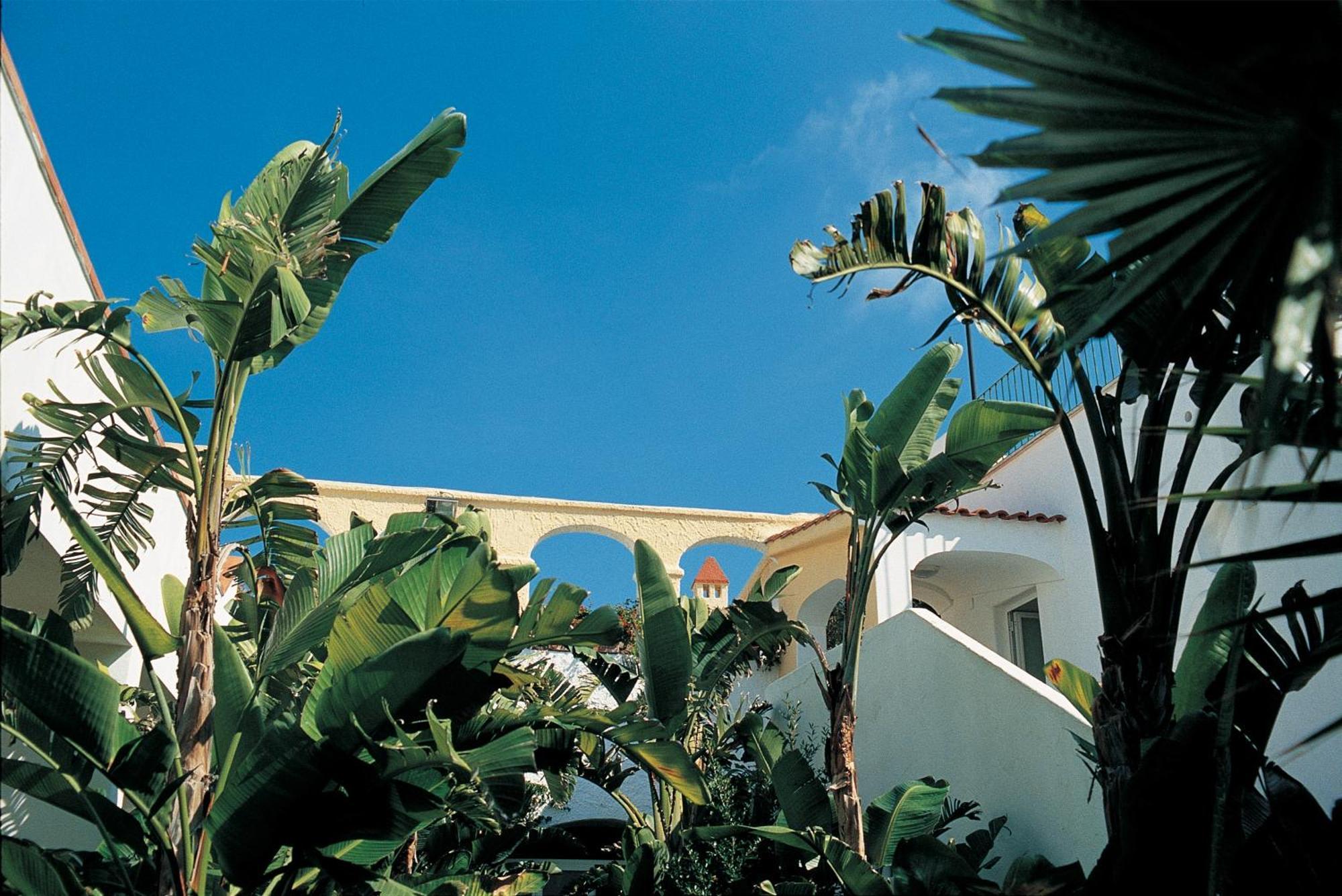 Forio di Ischia Hotel La Scogliera מראה חיצוני תמונה